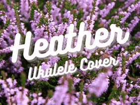 Heather || Ukulele Cover