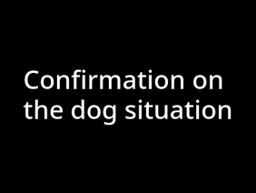 Confirmation on the dog situation.