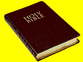 Bible Info