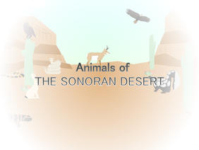↞Animals and Plants of the Sonoran Desert↠