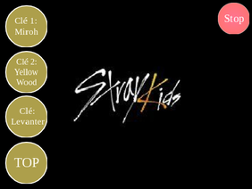 Stray Kids Playlist -All Songs- {Clé Chapter}