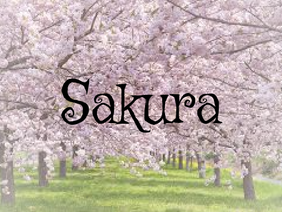 Sakura (Cherry Blossoms) - Noteblock