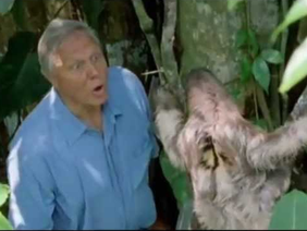 David Attenborough says boo to a sloth
