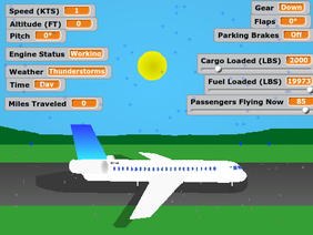 Airplane Flying sim