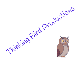 Senegal - A Thinking Bird Production