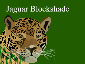 Jaguar Blockshade