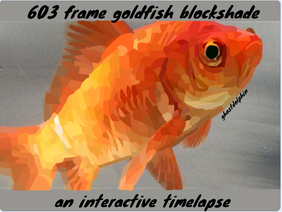 603 frame interactive goldfish timelapse
