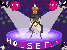 GAMES(HOUSE FLY FUN)