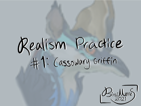 Realism Practice - Cassowary Griffin Replica
