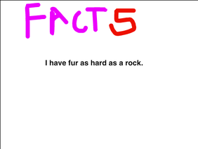 5 Random Facts About Me