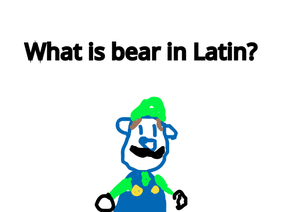 Hey Mario! What is bear in Latin?