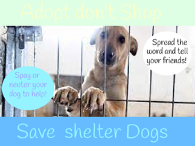 Save shelter Dogs/Adopt don't shop double remix