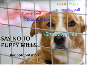 Sign if you say NO to puppy mills!!! remix remix remix