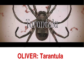 (OLIVER) Tarantula