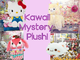 Kawaii Mystery Plush!