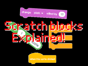 Scratch Blocks Explained! 
