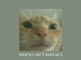 misery x cpr [ sped up ]