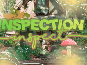 Inspection 0_0