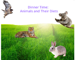 Animal Diets