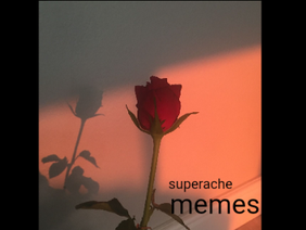 superache memes and more <33