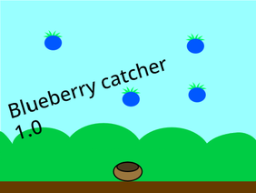 blueberry catcher 1.0