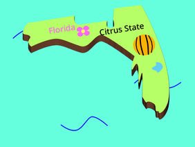 3D Florida