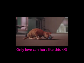 Only love can hurt like this... | Stray