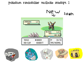 pokemon randomizer nuzlocke