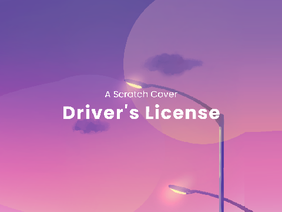 Driver's License Cover