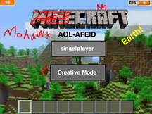 Play Crzy Minecraft