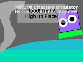 Natural disaster simulator