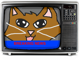 BREAKING NEWS for Cats