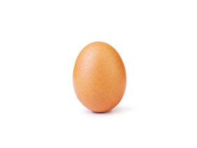 The most liked egg