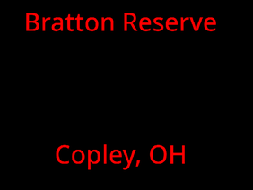 Bratton Reserve