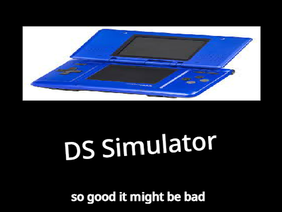 DS Simulator