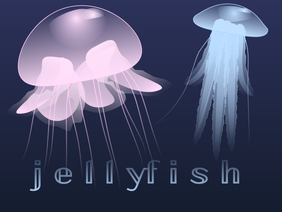Jellyfish ll A Short Animation