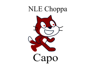NLE Choppa - Capo - Song