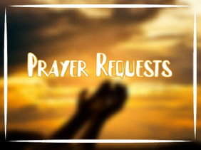 [] Prayer Requests []