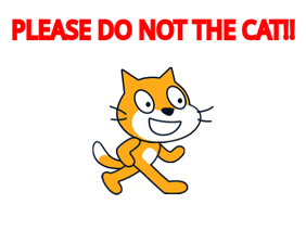 Please Do NOT The Cat!!