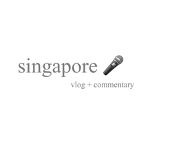 ✧･ﾟ: singapore vlog ⊃
