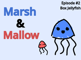 Marsh & Mallow - Episode #2 - Box Jellyfish