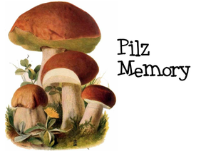 Pilz-Memory