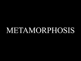 Metamorphosis || Birthday Meme 