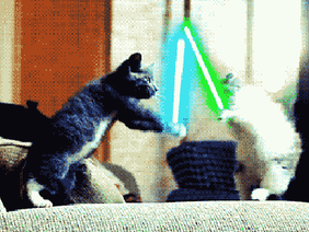 Animals with Lightsabers Compilation - Star Wars - v1.3