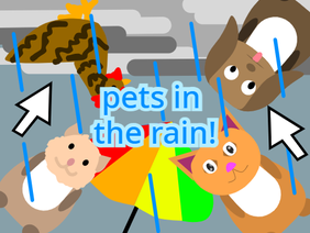pets in the rain!