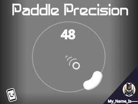 Paddle Precision