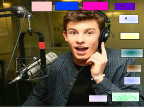 every thing shawn mendes