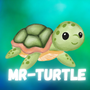 Mr-Turtle__